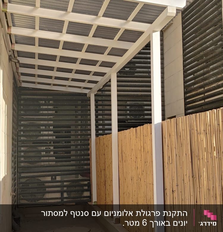 גדר במבוק לצד פרגולה לבנה בחצר